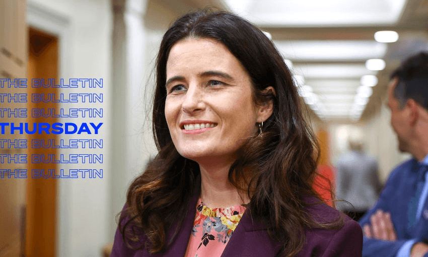 Nicola Willis is National’s deputy leader and expert on housing. (Hagen Hopkins/Getty Images) 
