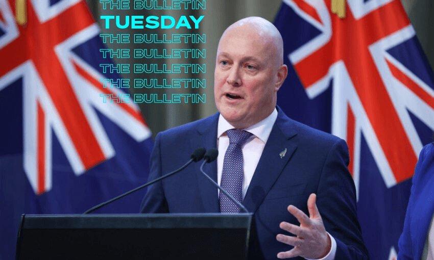 National leader Christopher Luxon at Parliament. (Hagen Hopkins/Getty Images) 
