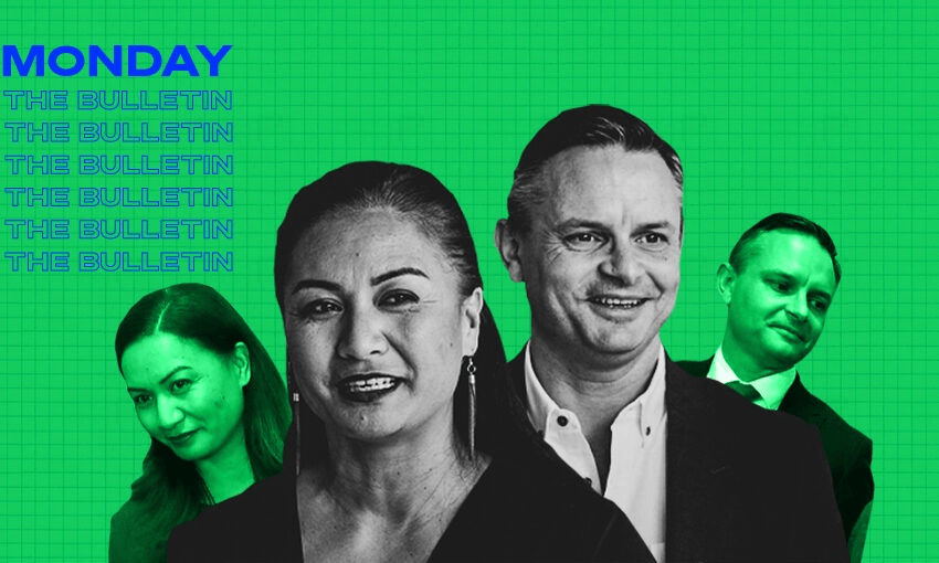 Green Party co-leaders Marama Davidson and James Shaw (Image: Tina Tiller)