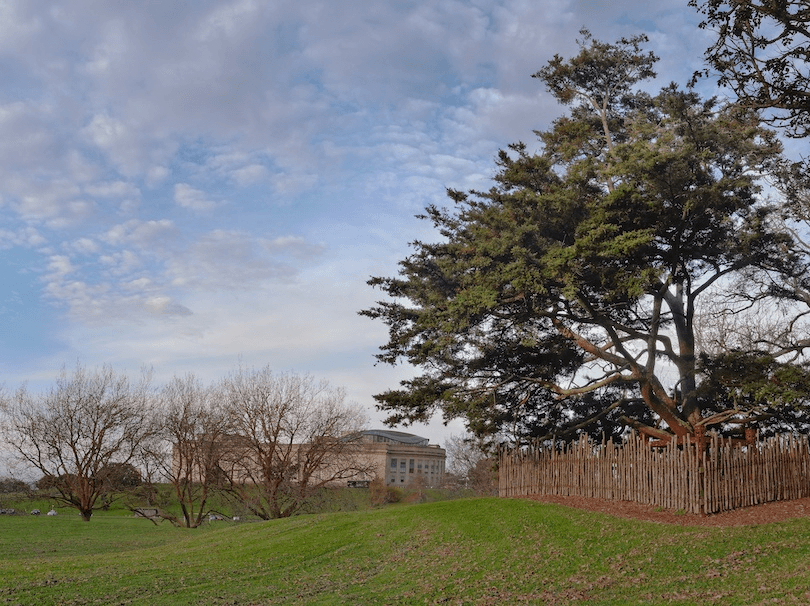 Colour photo taken during autumn or winter, of a large open grassy area, leafless trees, a large building in background. At right foreground, a fence of upright sticks surrounds a mature tree, beneath which you can just see a monument.