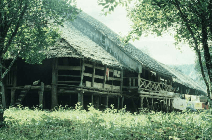 Colour photo of a jungle clearing dominated by a huge wooden building. 
