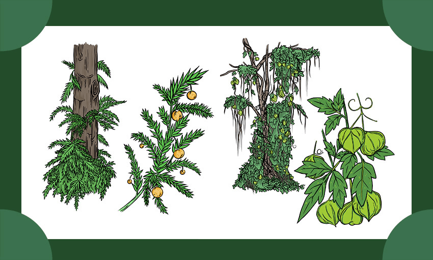 Illustrations by Pepper Raccoon; additional design by Tina Tiller