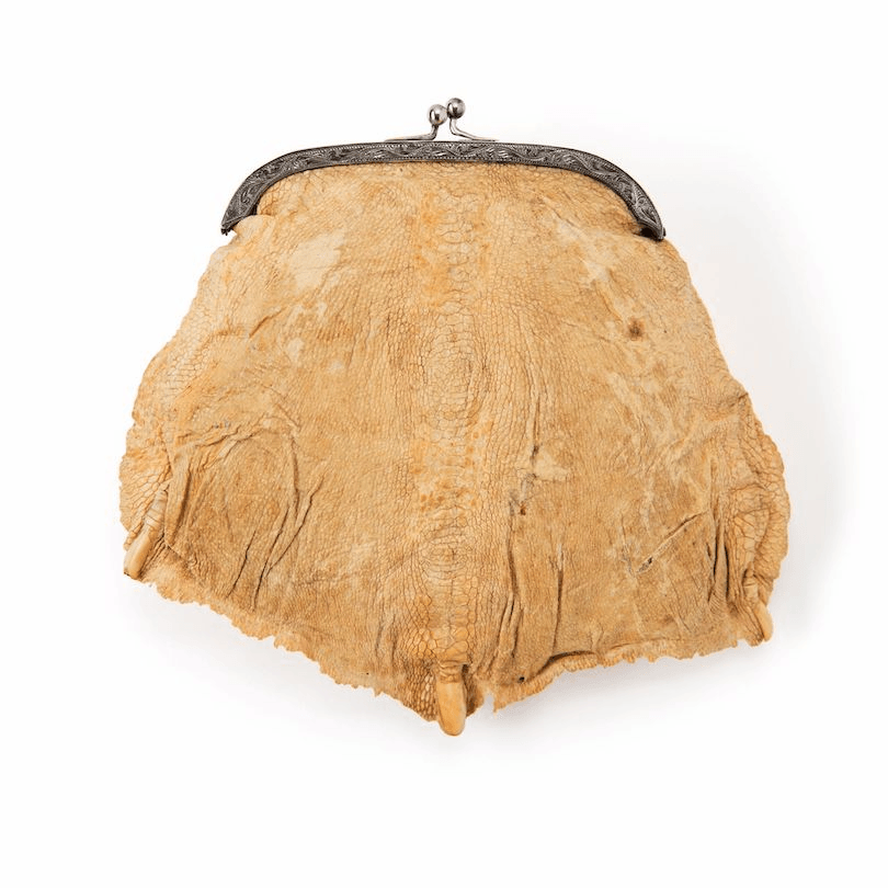 Grotesque photograph of a purse, beige in colour, with three claws at intervals across the centre. 