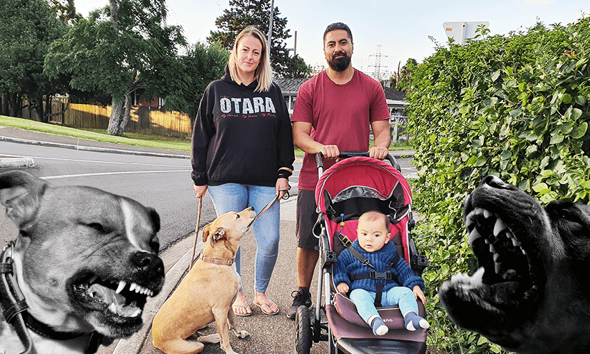 Victoria Hearn with husband Antonio Afamasaga and their son Matai, on a rare walk with their dog. (Photo: Supplied, additional design Archi Banal) 
