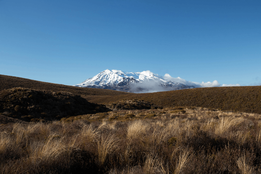 View of a snow-capped mountain under a clear blue sky, surrounded by dry grass and shrubbery in the foreground.