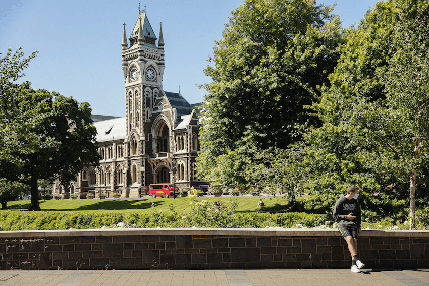 clock tower of old stone gothic building in dunedin on a sunny day