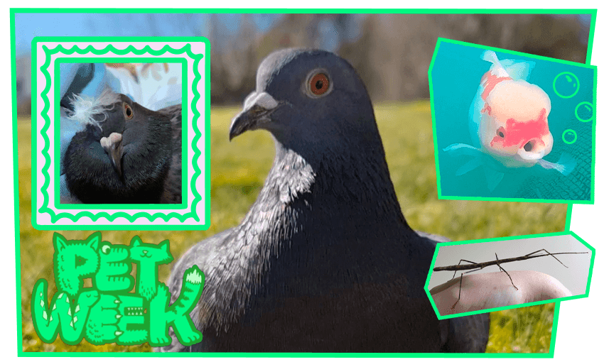 (Image: Tina Tiller). 
