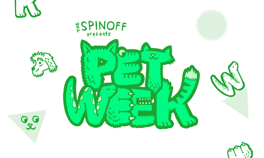 Image: Toby Morris/Tina Tiller 
