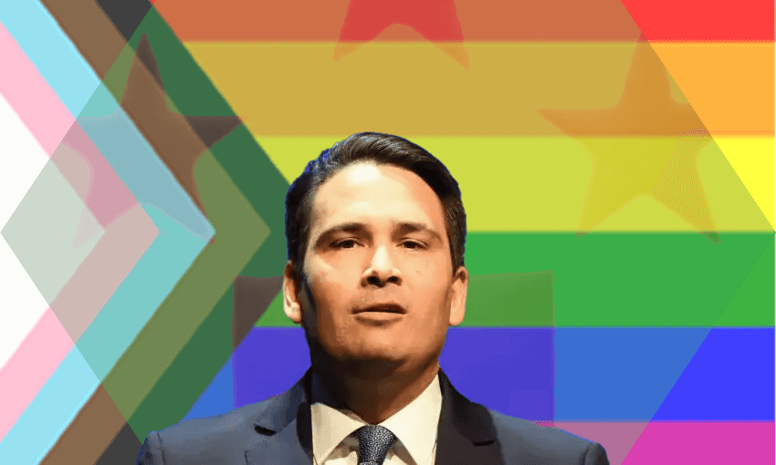 Simon Bridges has consistently voted against the rights of queer people. Why do people forget that? (Image Design: Tina Tiller) 
