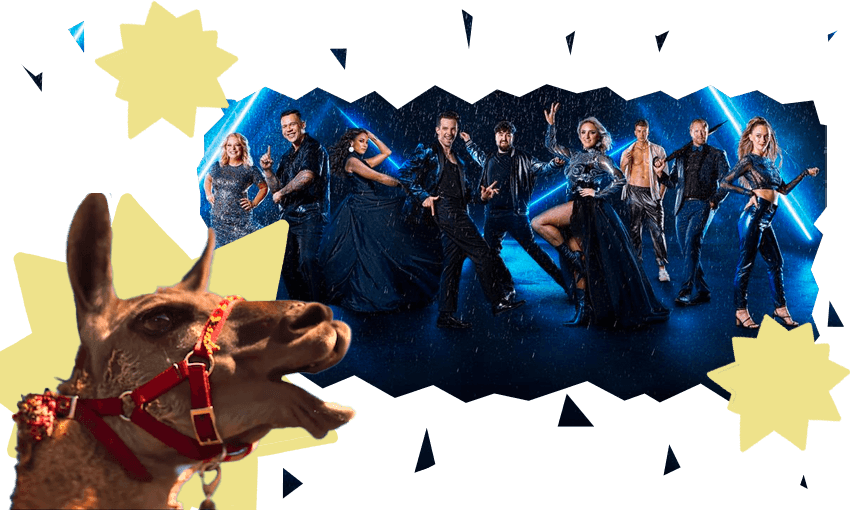 A lip-syncing llama and the cast of Dancing with the Stars NZ 2022 (Photos: Three, Image Design: Tina Tiller) 
