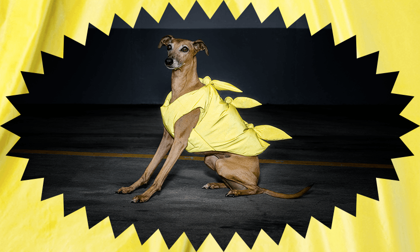 The Dino Vest, for the very best (Image: Supplied) 
