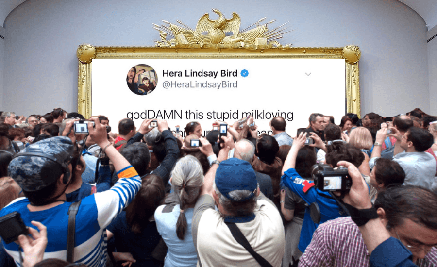 The perfect New Zealand tweet doesn’t exi–