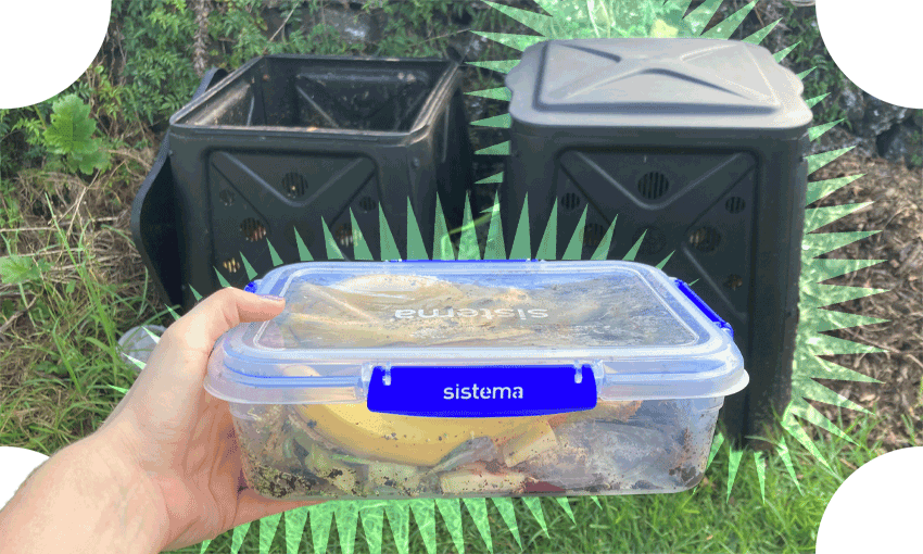 Alex Casey’s Sistema of compost, and its new home (Image: Alex Casey) 
