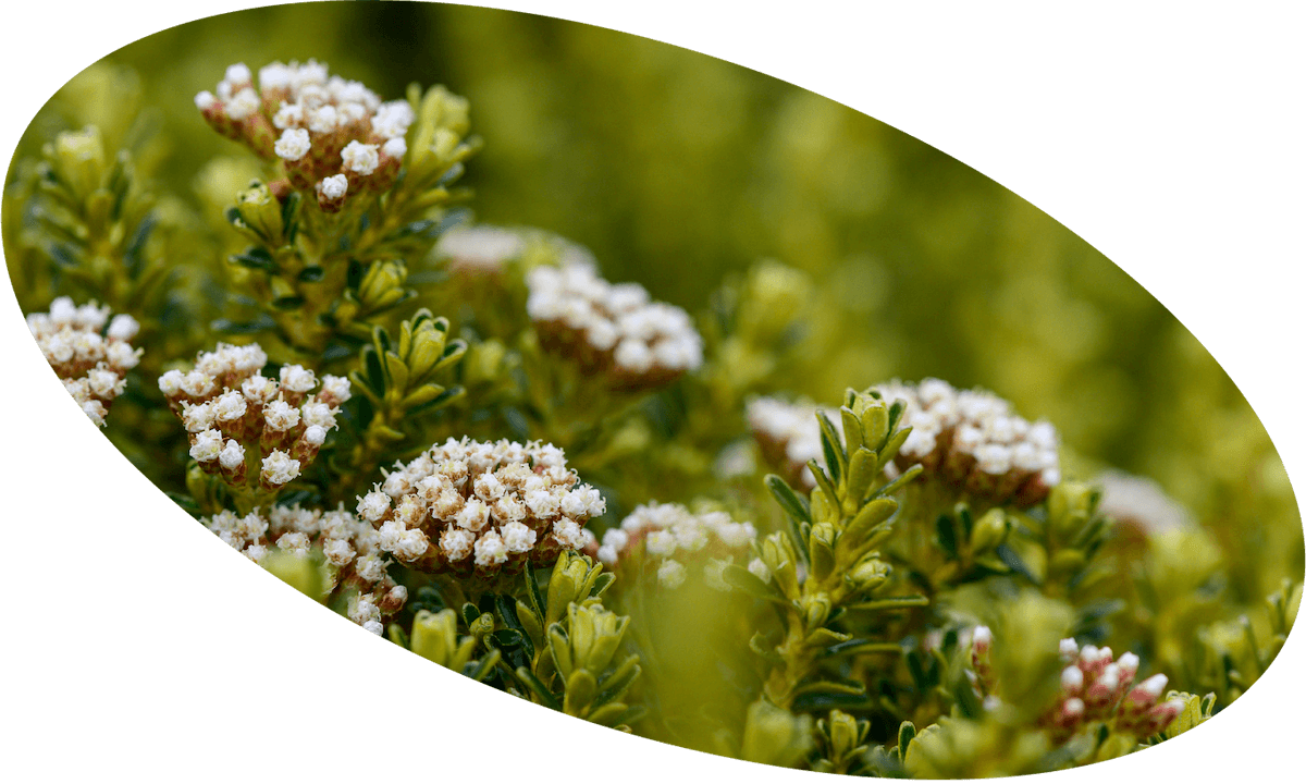 (Photo: Jake Osborne / CC via Flickr)