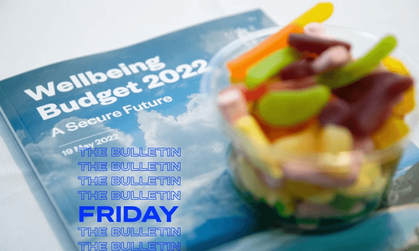 A budget for a secure furture featuring a few lollies (Photo: RNZ/Angus Dreaver) 
