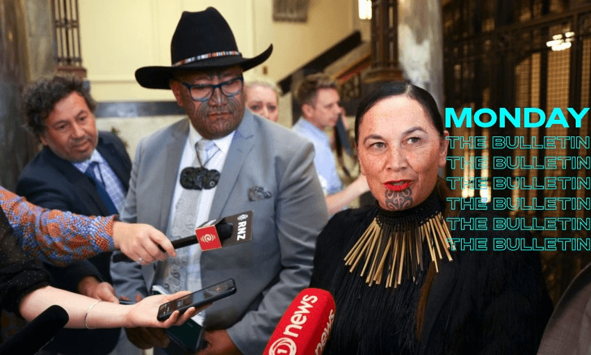 Te Pāti Māori co-leaders Debbie Ngarewa-Packer and Rawiri Waititi (Photo: Getty Images) 
