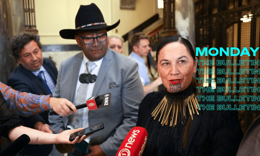 Māori Party co-leaders Debbie Ngarewa-Packer and Rawiri Waititi (Getty Images) 
