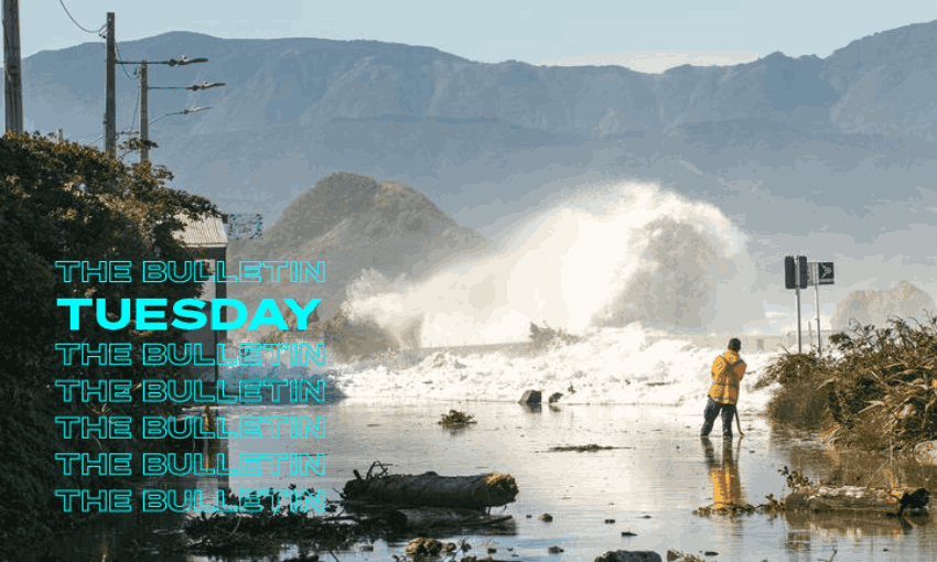 Road between Ōwhiro Bay and Island Bay (Photo: RNZ / Supplied / Grant Maiden) 
