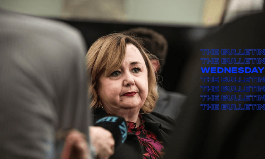 Megan Woods launches a plasterboard taskforce (Photo: RNZ/Samuel Rillstone)