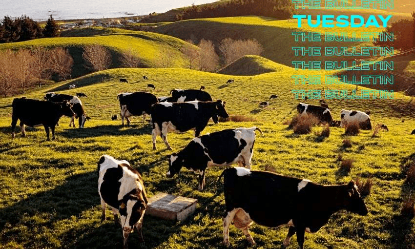 A plan for agricultural emissions will be released on Wednesday (Photo: Getty Images) 
