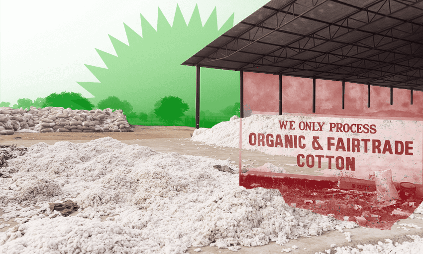 Kowtow’s raw material, 100% Fairtrade-certified organic cotton from India (Images: Supplied; additional design: Archi Banal)