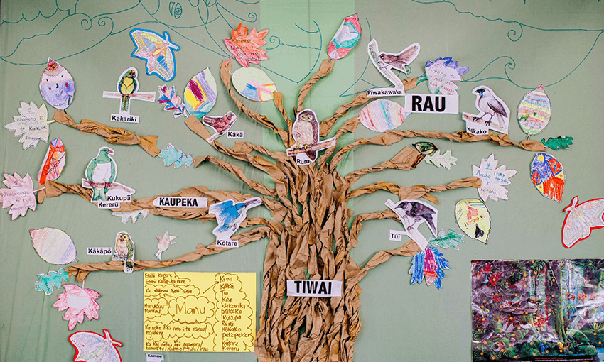 The predominantly wāhine Māori kaiārahi i te reo workforce has been offered a pay equity settlement that includes a 79% average pay increase. (Image: Erica Sinclair/ NZEI Te Riu Roa) 
