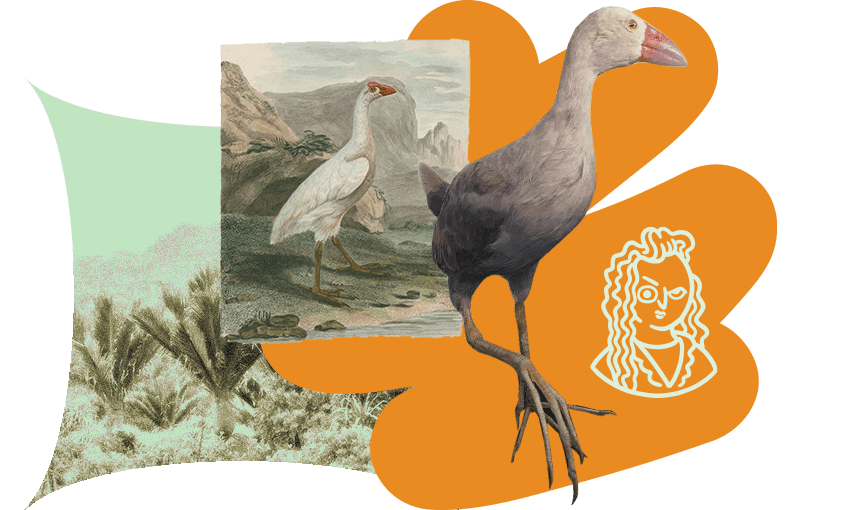 Image by Archi Banal