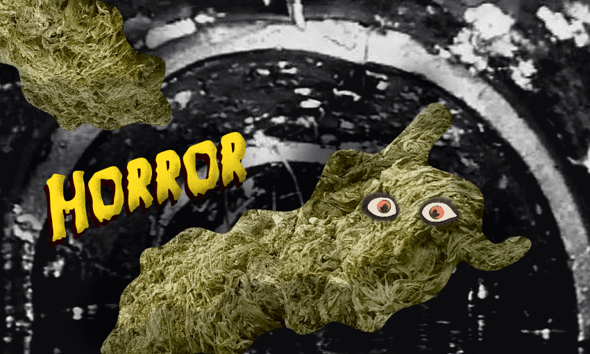 The rag monster IS real and it CAN hurt you(r wastewater system) (Image: Archi Banal)