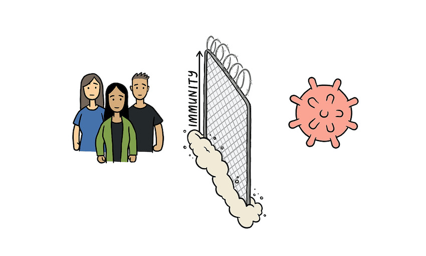 Illustration: Toby Morris 
