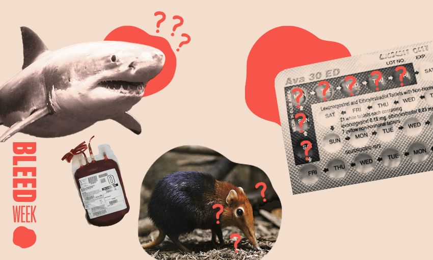 Image by Tina Tiller 
