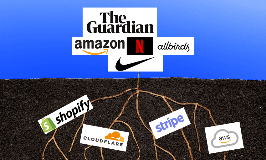 a plant in soil, the roots are shopify, strpe clouflare, and the tree above the ground is netflix, amazon, nike