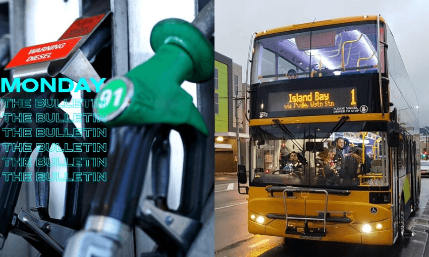 Fuel excise cut and half-price public transport extended until January 2023 (Photos: Alexander Robertson RNZ/Emma Hatton RNZ)  
