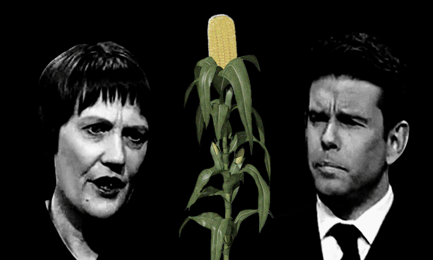Helen Clark, John Campbell and a stalk of potentially genetically modified corn (Image: Archi Banal / Photos: Supplied) 
