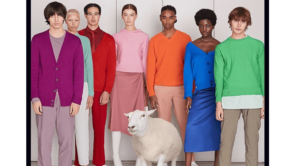 A row of models of differing ethnicities and genders wearing colourful knitwear. A sheep is in the foreground.