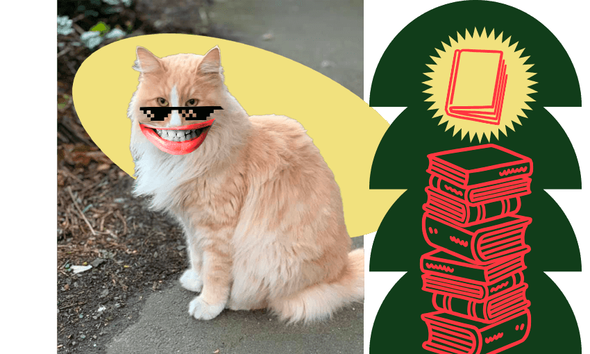 Photo of a big fluffy ginger cat. We've put cool-guy glasses and a big cheesy grin on him. Plus a stack of book emojis off to the right.