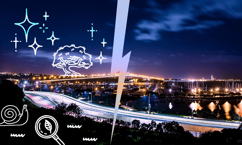 lit up city with illustrations of trees and stars and snails