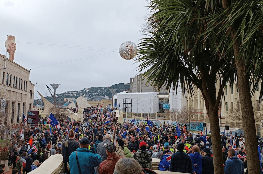 A full Civic Square (Photo: Toby Manhire) 
