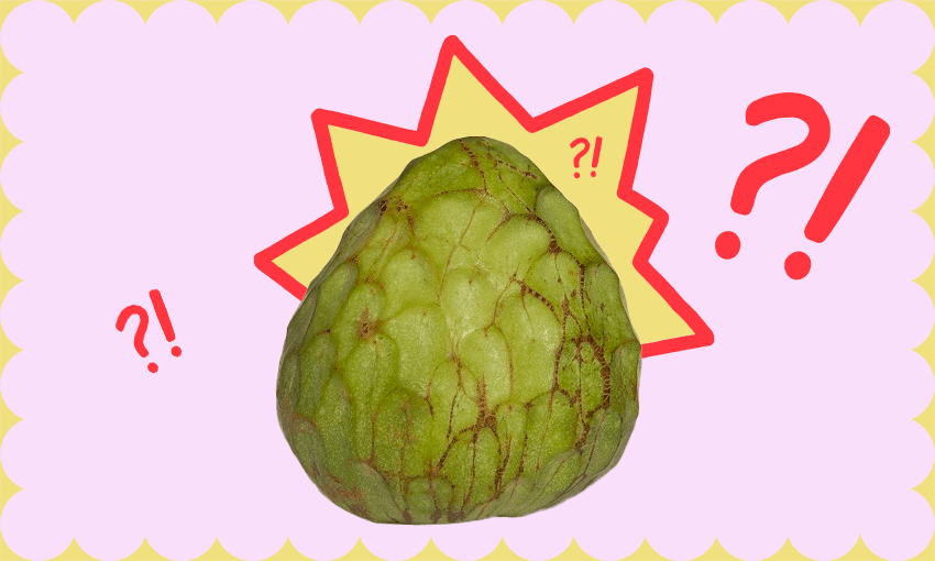 The mysterious fruit with a pudding-like texture and a hefty price-tag. (Image: Tina Tiller)