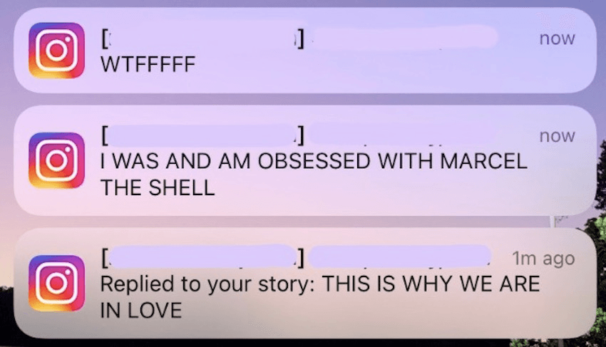 The best movie of the year is about a tiny talking shell | The Spinoff