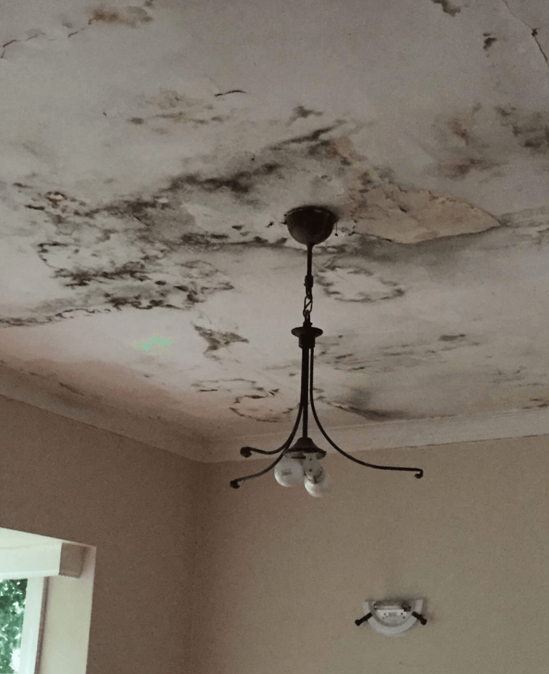 Beware the ceiling mould (Photo: Supplied) 
