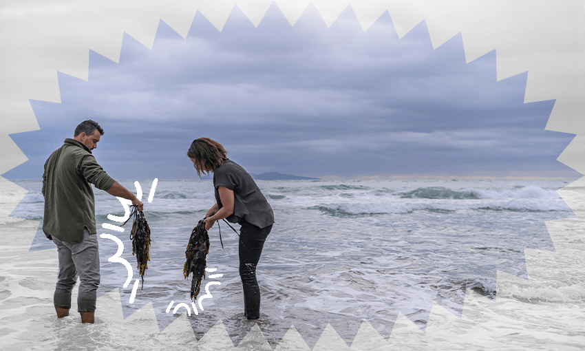 Agrisea is turning common algae and seaweeds into natural fertilisers, drinks and even solutions to dirty rivers (Image: Agrisea) 
