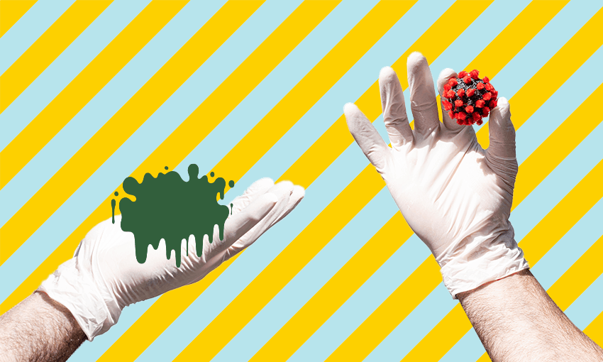 Does getting Covid make you more likely to catch a cold? The Spinoff