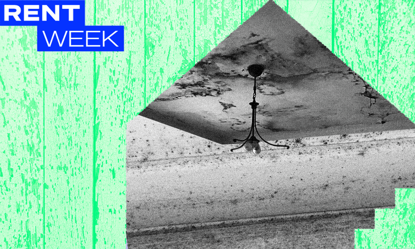 The mouldiest rental properties in Aotearoa, ranked and reviewed