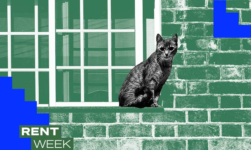 The default position most for rental properties in New Zealand is to prohibit pets. (Image: Archi Banal) 
