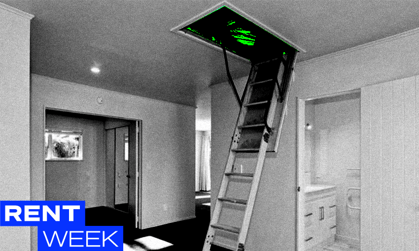 Cursed rentals of New Zealand: Stairway to hell edition