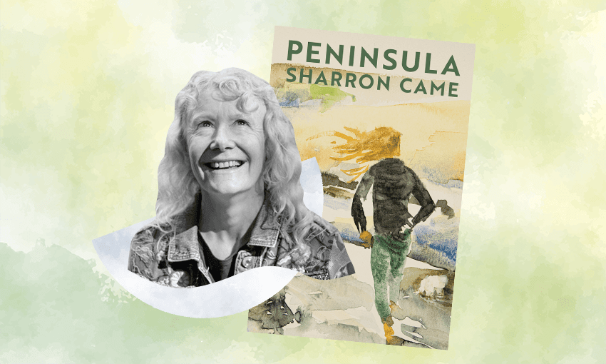 Sharron Came’s Peninsula (Design: Archi Banal) 
