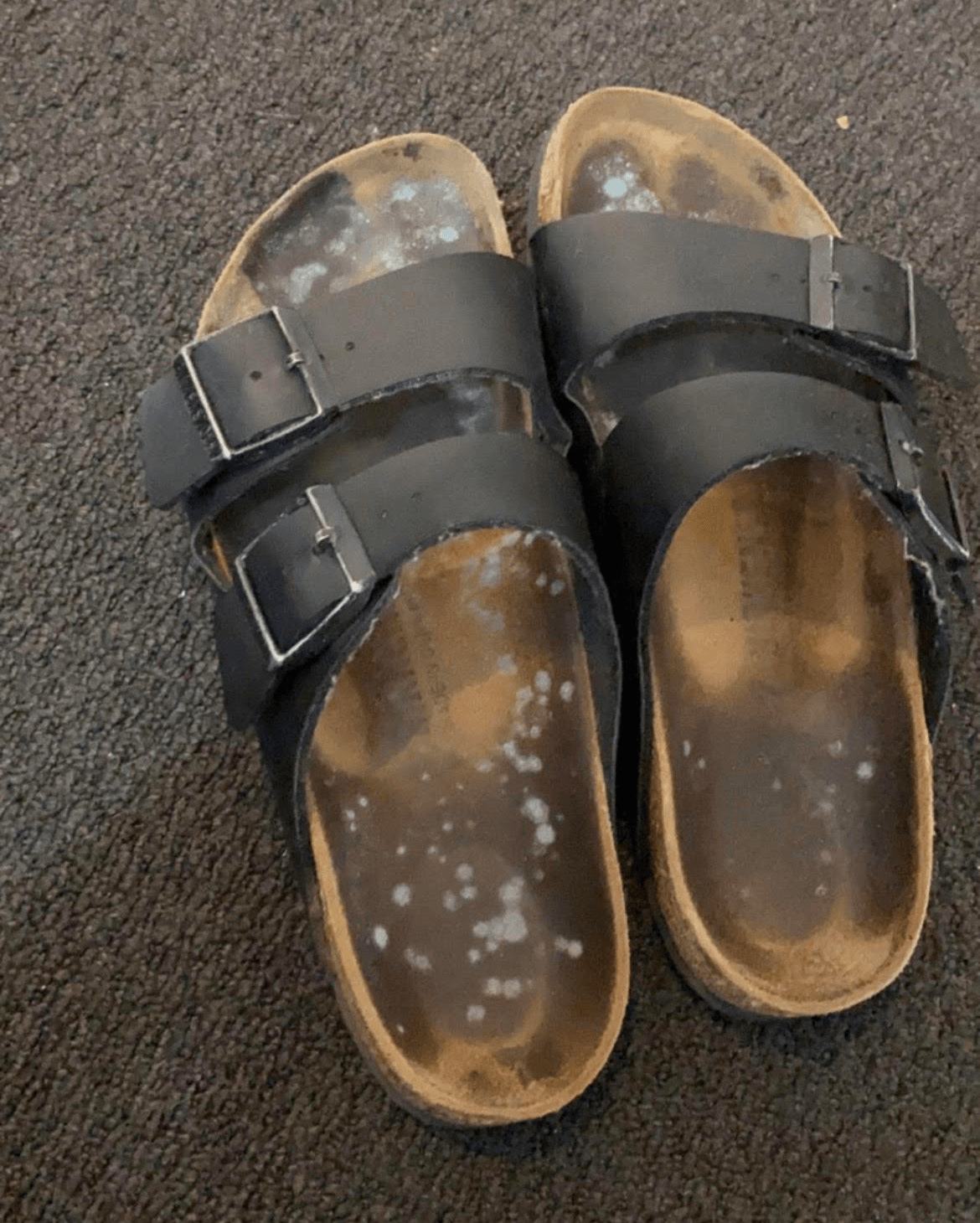 Just a lovely pair of mouldy birks (Photo: Supplied) 
