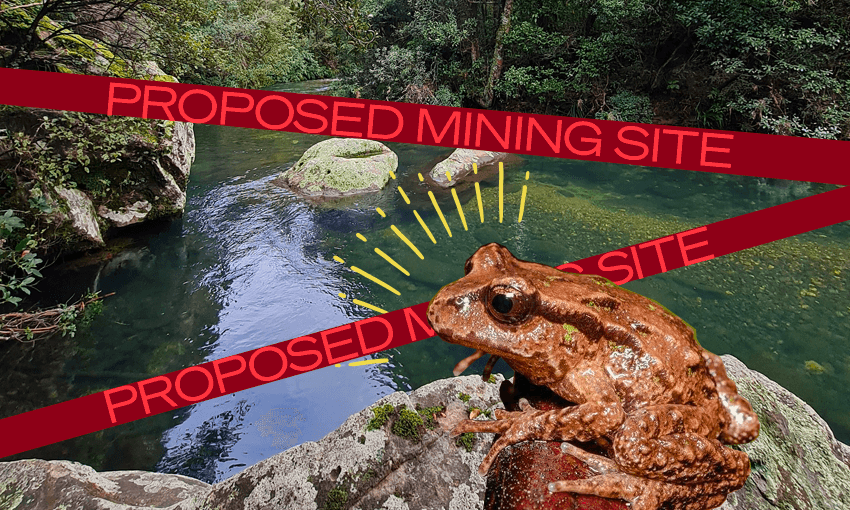 a dappled brown frog with a red tap reading 'proposed mining' over it