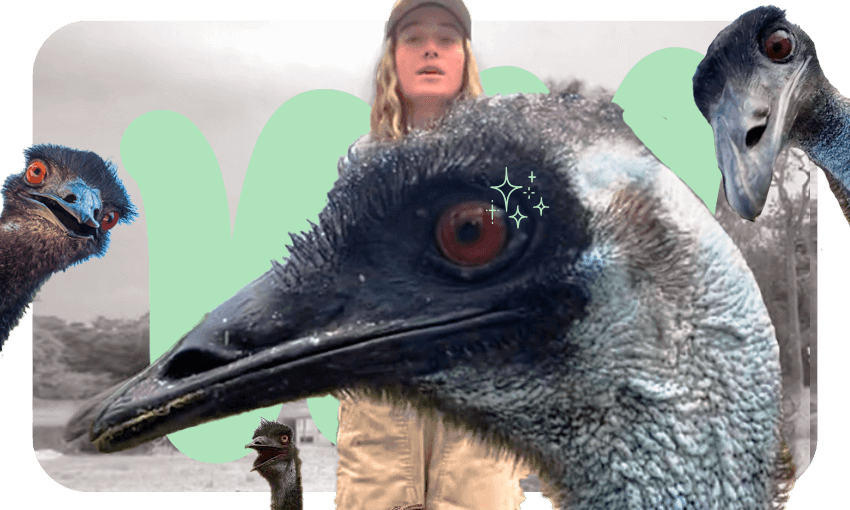 Emu content (Image: Tina Tiller) 

