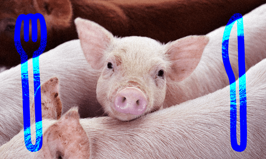 I have 80 billion reasons to not eat meat – health and the planet aren